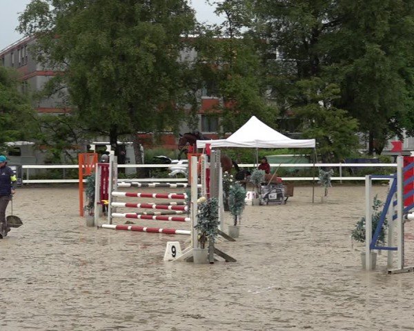 Reitturnier Bregenz 2025