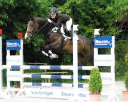 broodmare Sekt-oder Selters (Oldenburg show jumper, 2009, from Quintender 2)