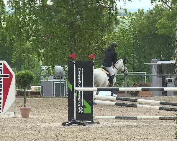 Reitturnier Landenhausen 2025