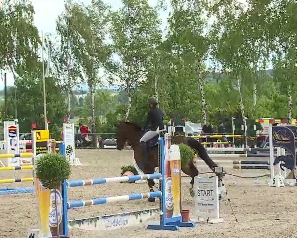 Reitturnier Landenhausen 2025
