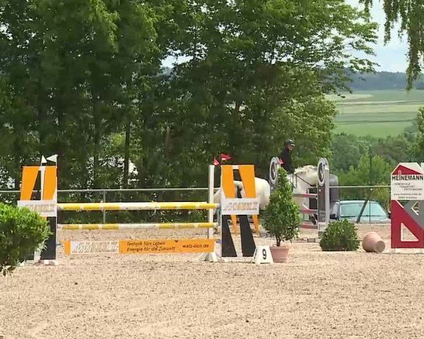 Reitturnier Landenhausen 2025