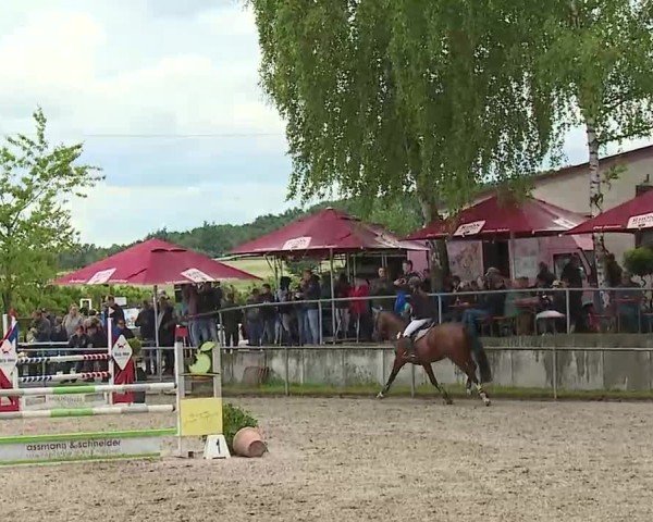 Reitturnier Landenhausen 2025