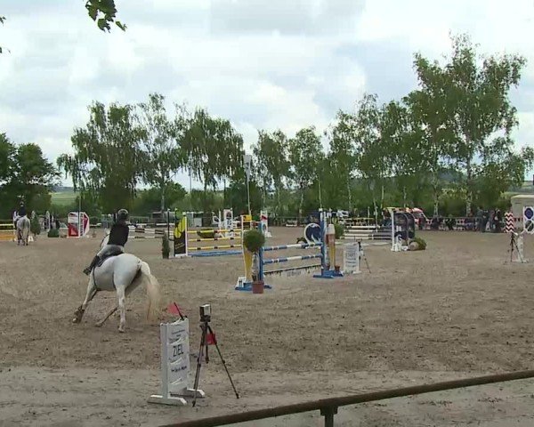 Reitturnier Landenhausen 2025