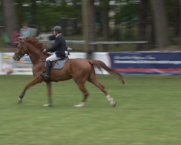 Reitturnier Cottbus-Sielow 2025