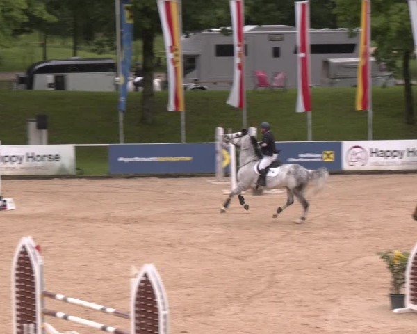 Reitturnier Stadl-Paura 2025