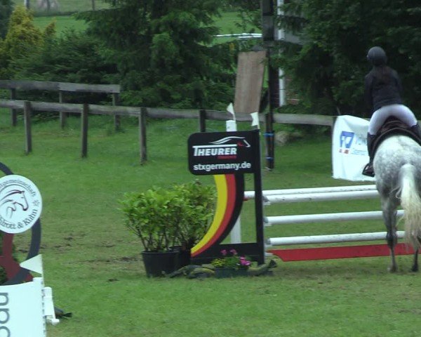 Reitturnier Pennigbüttel 2025