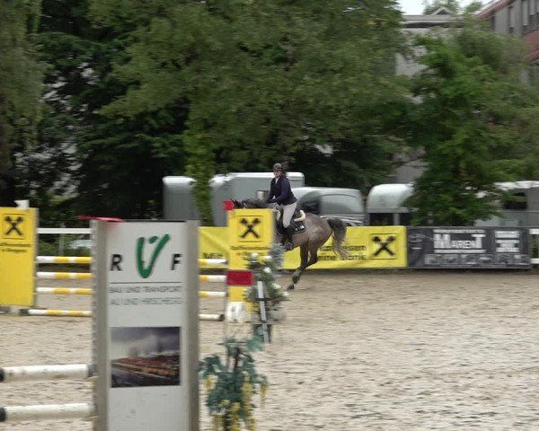 Reitturnier Bregenz 2025