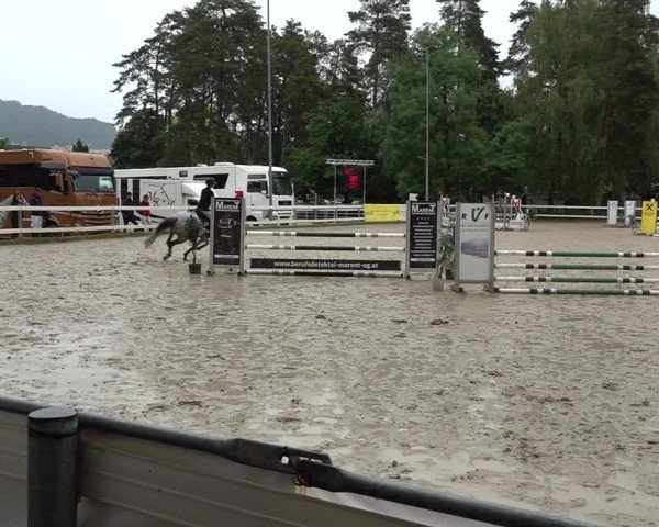 Reitturnier Bregenz 2025