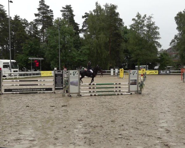 Reitturnier Bregenz 2025
