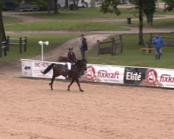 Reitturnier Stadl-Paura 2025