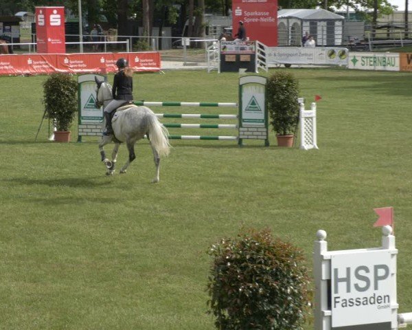 Reitturnier Cottbus-Sielow 2025