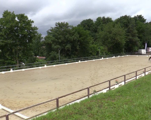 Reitturnier Iserlohn-Kalthof 2025
