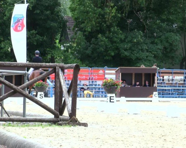 Reitturnier Taufkirchen-Vils/Obb. 2025