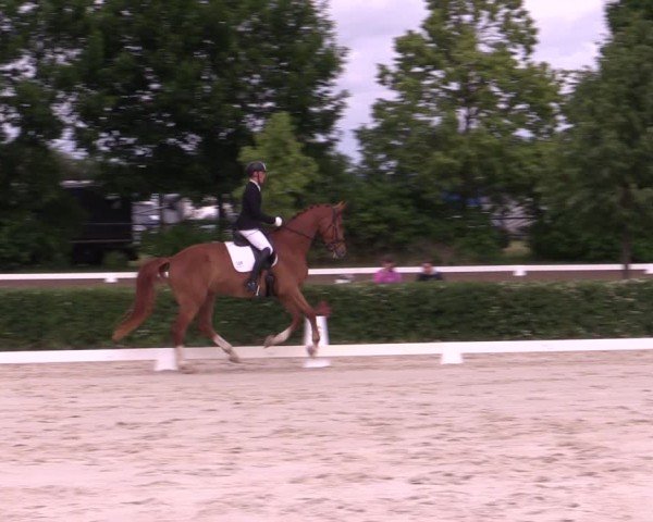 Reitturnier Westeregeln 2025
