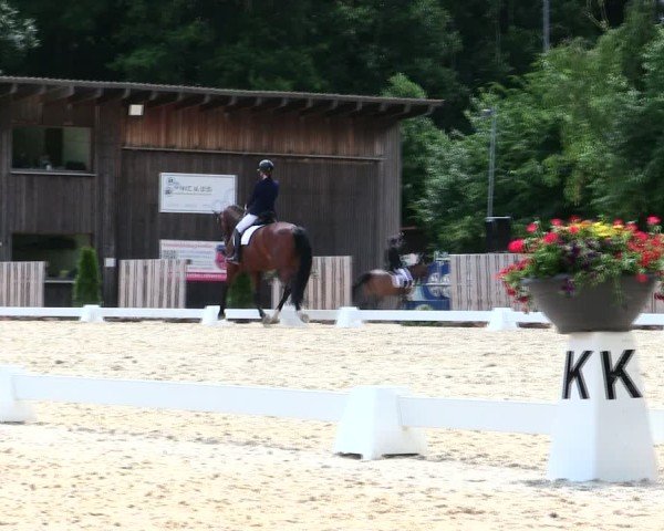 Reitturnier Taufkirchen-Vils/Obb. 2025