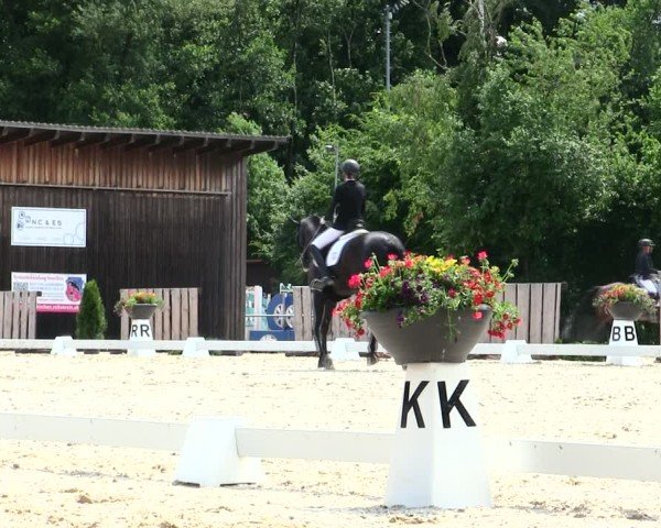 Reitturnier Taufkirchen-Vils/Obb. 2025
