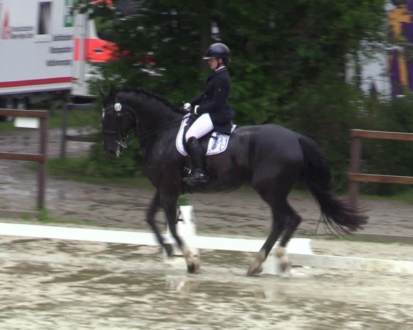 Reitturnier Iserlohn-Kalthof 2025