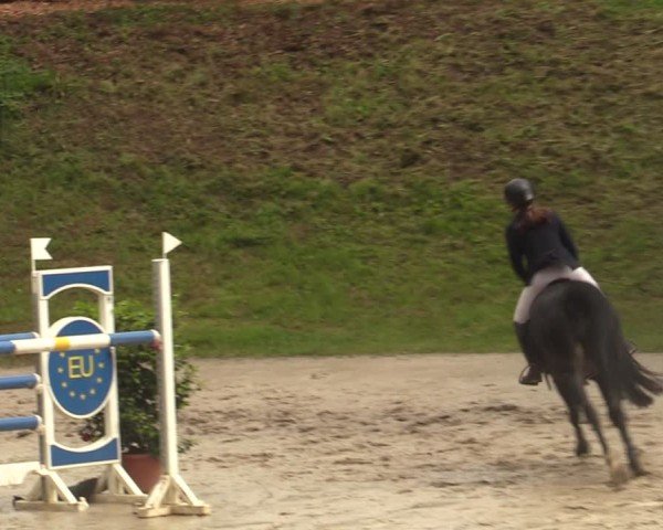 Reitturnier Iserlohn-Kalthof 2025