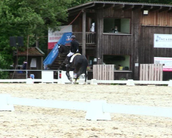 Reitturnier Taufkirchen-Vils/Obb. 2025