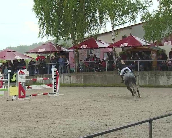 Reitturnier Landenhausen 2025