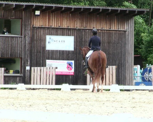 Reitturnier Taufkirchen-Vils/Obb. 2025