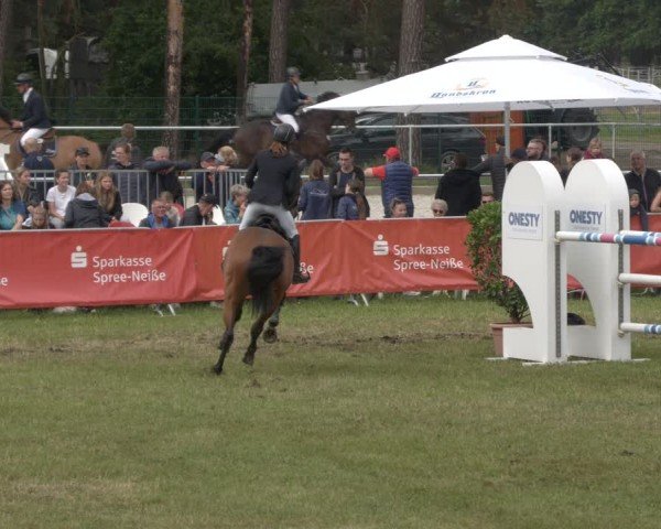 Reitturnier Cottbus-Sielow 2025