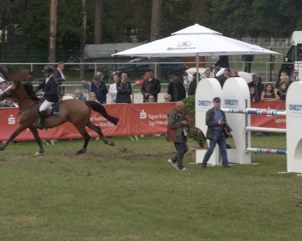 Reitturnier Cottbus-Sielow 2025
