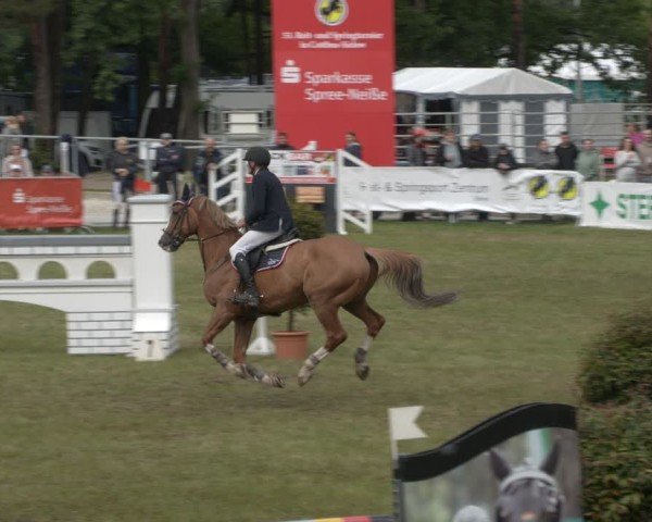 Reitturnier Cottbus-Sielow 2025
