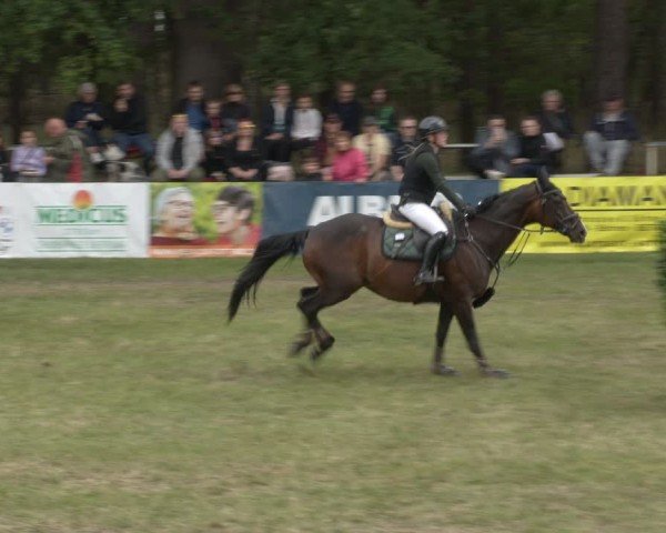 Reitturnier Cottbus-Sielow 2025