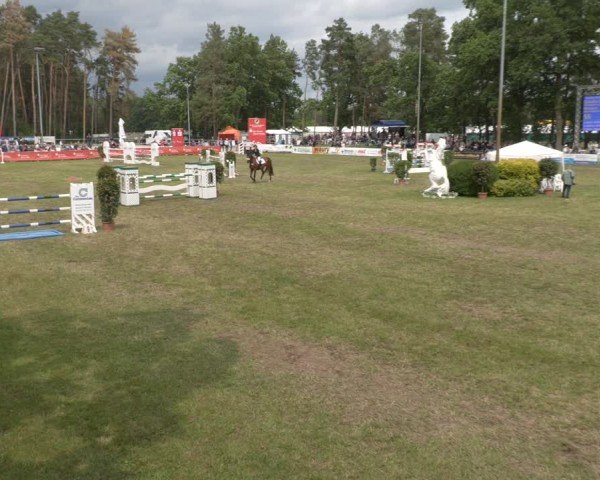 Reitturnier Cottbus-Sielow 2025