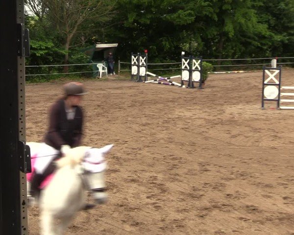 Reitturnier Langenleuba - Oberhain 2025