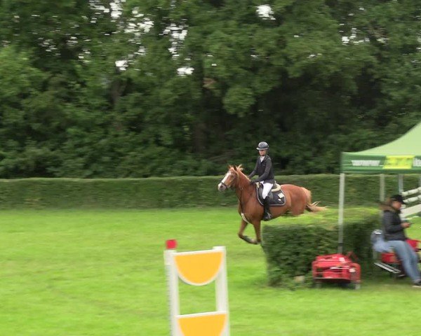 Reitturnier Westeregeln 2025