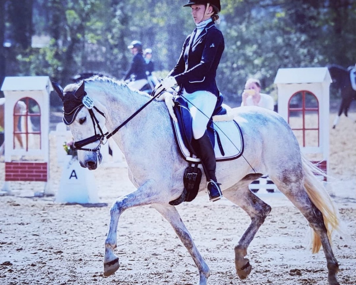 broodmare Caricia 7 (Pura Raza Espanola (PRE), 2007, from Ocioso XV)