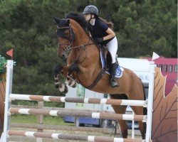 jumper Kannamieke VDL (KWPN (Royal Dutch Sporthorse), 2015, from Dallas VDL Z)