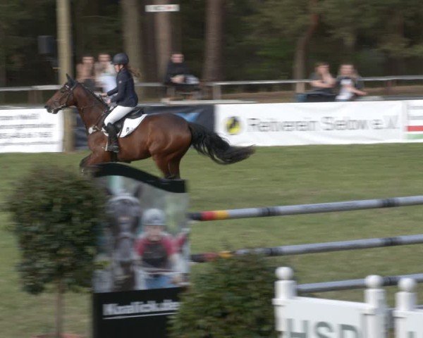 Reitturnier Cottbus-Sielow 2025