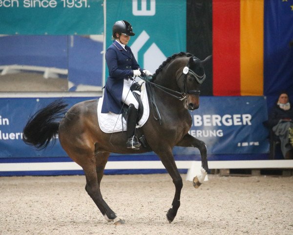 dressage horse Fairtrade (Westphalian, 2010, from Fiderstep)
