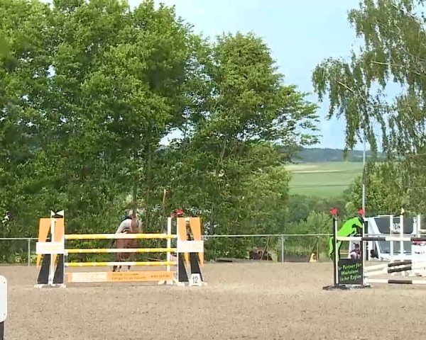 Reitturnier Landenhausen 2025