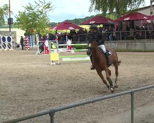 Reitturnier Landenhausen 2025