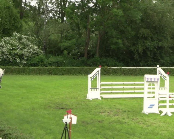 Reitturnier Westeregeln 2025