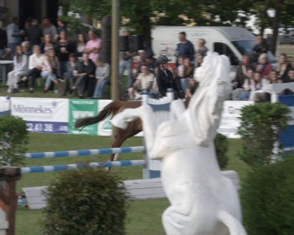 Reitturnier Cottbus-Sielow 2025
