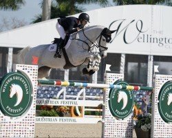 jumper Dalida (KWPN (Royal Dutch Sporthorse), 2006, from Cartano)