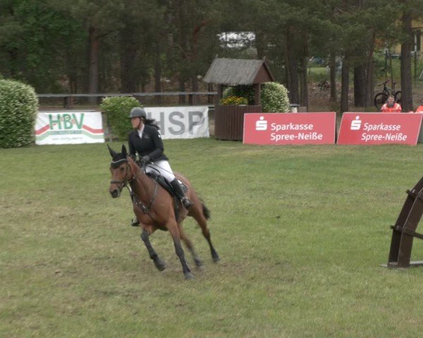 Reitturnier Cottbus-Sielow 2025