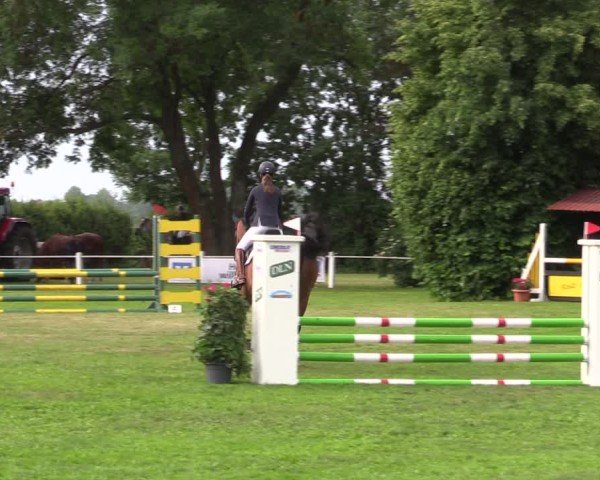 Reitturnier Wustrow 2025