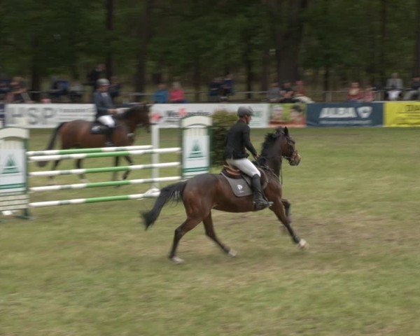 Reitturnier Cottbus-Sielow 2025