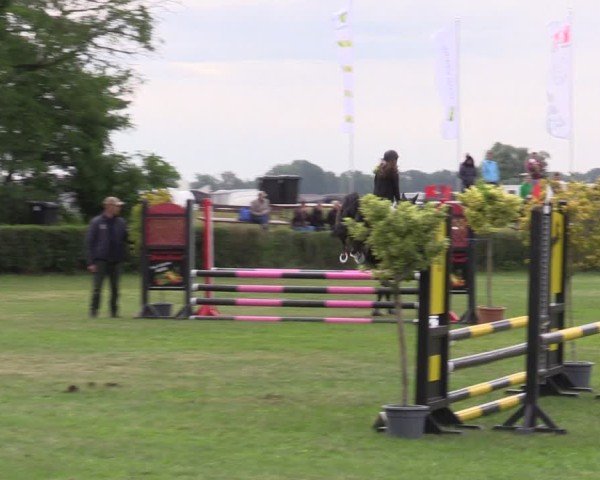 Reitturnier Wustrow 2025