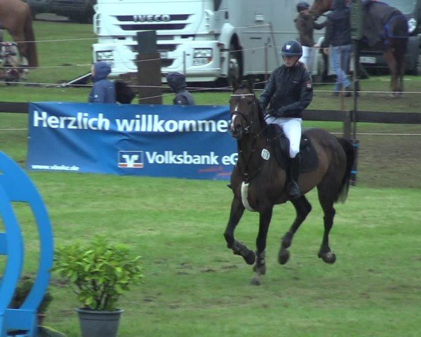 Reitturnier Pennigbüttel 2025