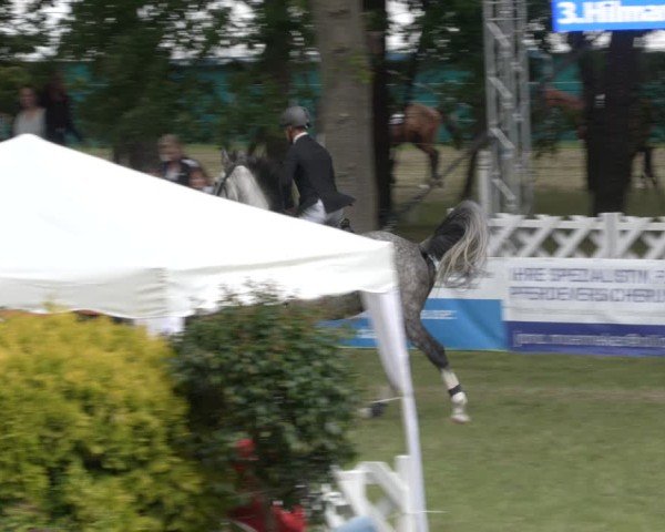 Reitturnier Cottbus-Sielow 2025