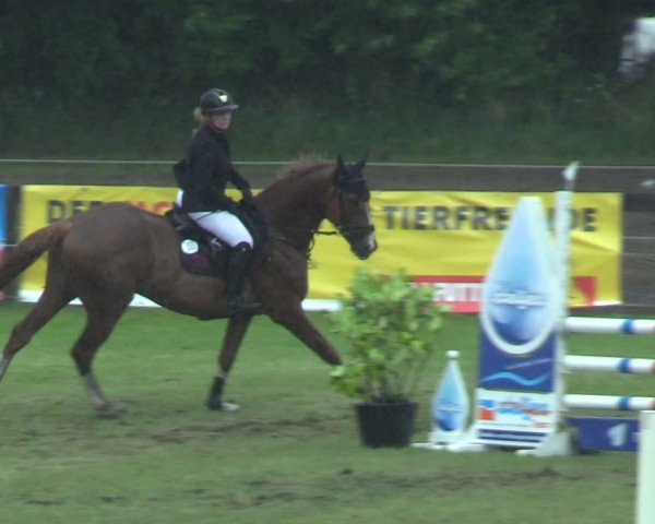 Reitturnier Pennigbüttel 2025