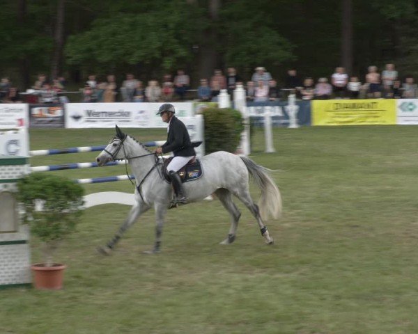 Reitturnier Cottbus-Sielow 2025