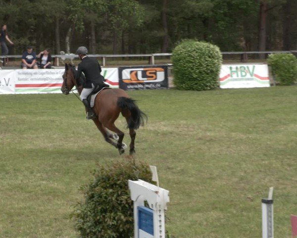 Reitturnier Cottbus-Sielow 2025
